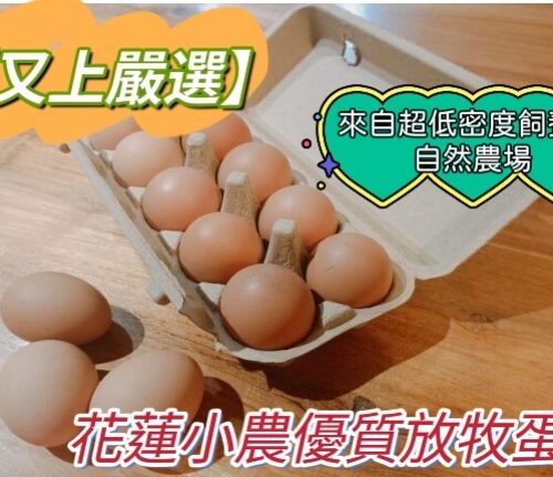 【4盒-免運費】花蓮小農優質放牧蛋-產地直發 (10顆/盒，一組4盒(共40顆）