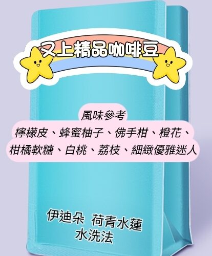 【又上精品咖啡豆】伊迪朵  荷青水蓮  水洗法