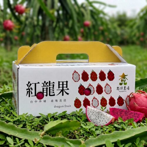 【預購限量】台中外埔火龍果 紅白 2 入組禮盒 （含運）